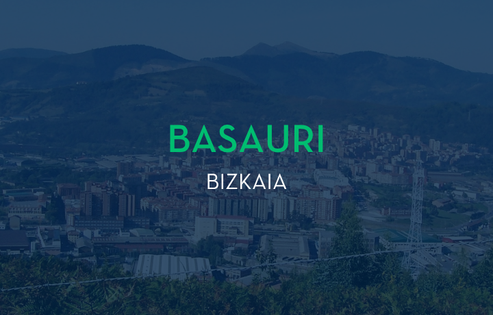 Obra nueva en Basauri